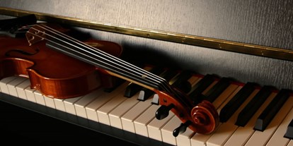 Hochzeitsmusik - Besetzung (mögl. Instrumente): Geige - Wien - Die Fidelharmoniker