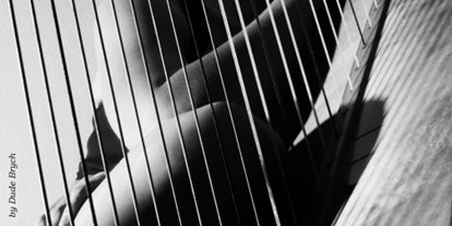 Hochzeitsmusik - Besetzung (mögl. Instrumente): Harfe - Erlangen - Barbara Regnat - Harfe
