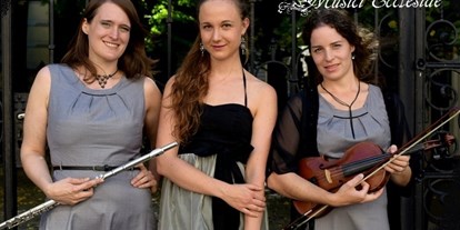 Hochzeitsmusik - Band-Typ: Trio - Niederösterreich - Musici Ecclesiae - für festliche Anlässe wie Hochzeiten, Taufen, Agapen, Sektempfänge sowie Firmenfeiern, Geburtstage oder Empfänge
 - Musici Ecclesiae