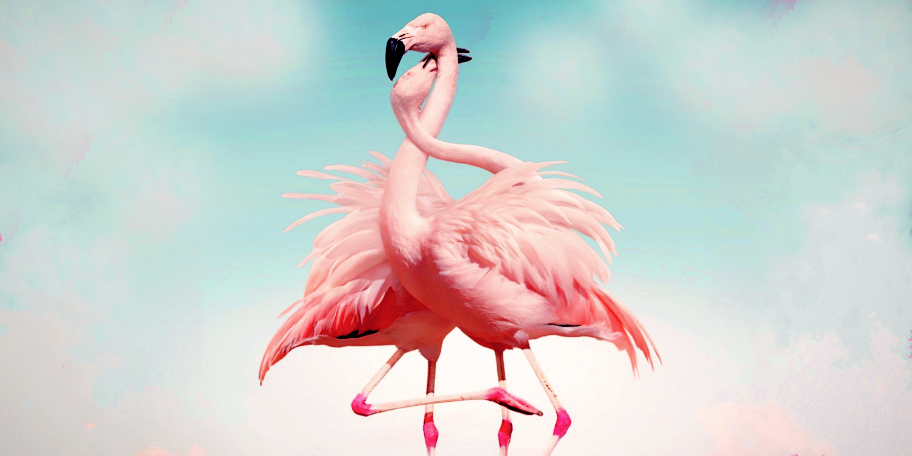 Hochzeitsband - DJ Rafe