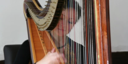 Hochzeitsmusik - Besetzung (mögl. Instrumente): Harfe - Mühlhausen (Landkreis Erlangen-Höchstadt) - Barbara Regnat - Harfe