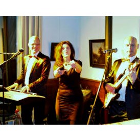 Hochzeitsband: Hochzeitsband als Trio - Olaf Wittelmann Partyband
