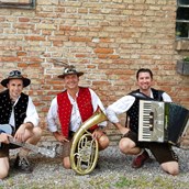 Hochzeitsband - Trio für Hochzeit etc. in Tracht - Lets-Dance-Partyduo