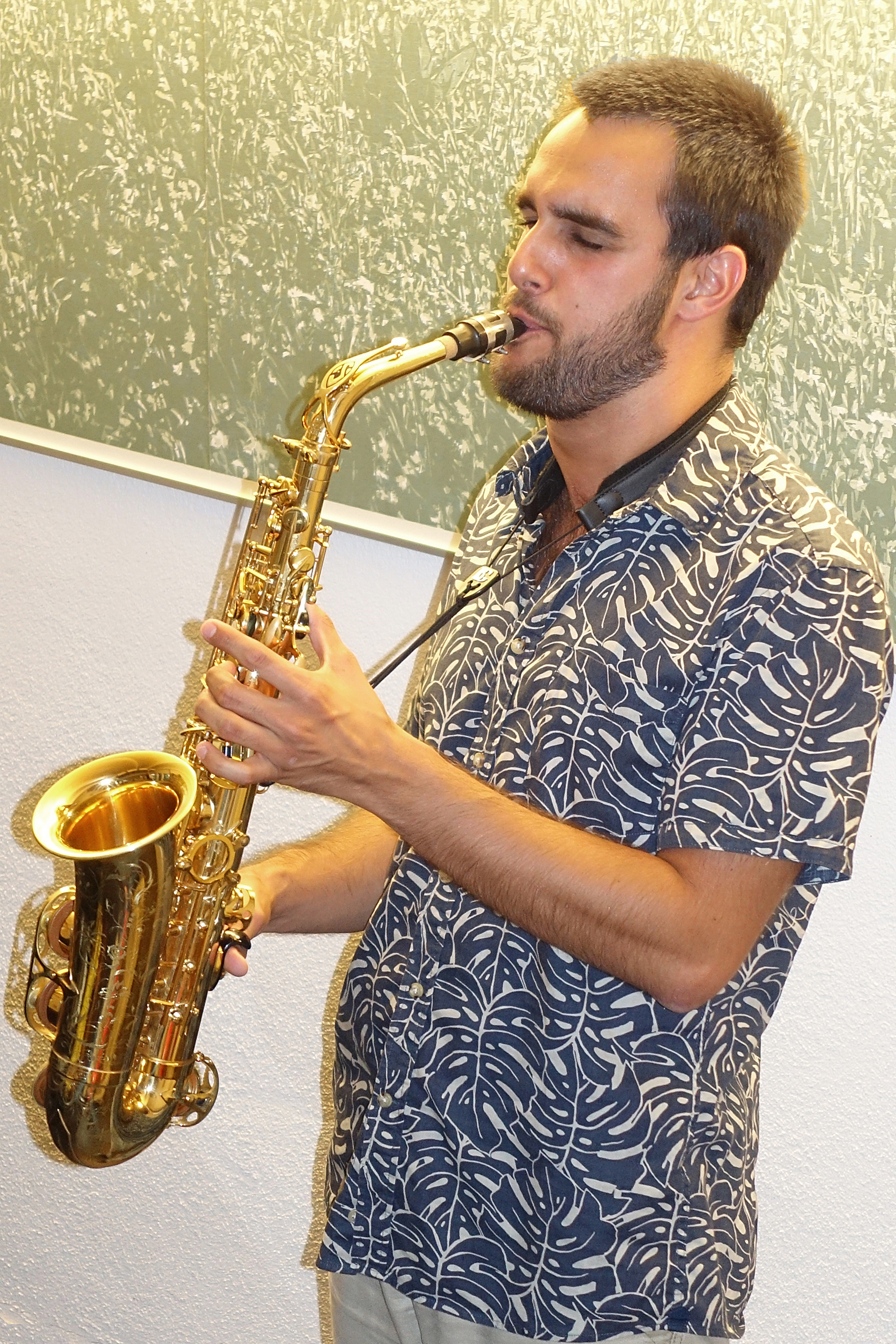 Hochzeitsmusik - geeignet für: Brauchtumsmusik - Bern - Manuel Schwab - Duo Manuel Schwab&Matthieu Trovato