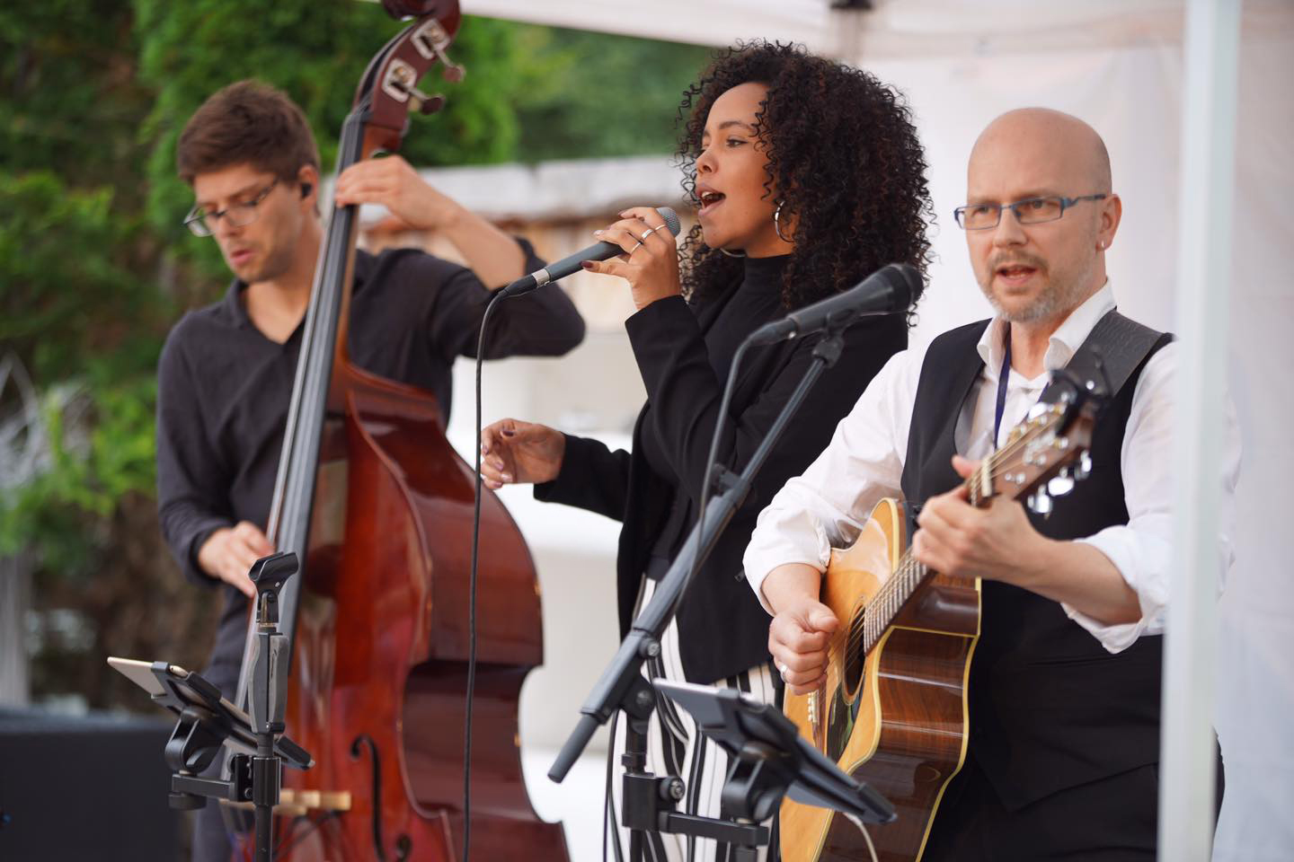 Hochzeitsmusik - Band-Typ: Quartett - Thüringen - ELEEZA Acoustic Trio - ELEEZA