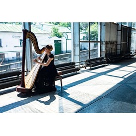 Hochzeitsband: Harpist For Your Event in Graz