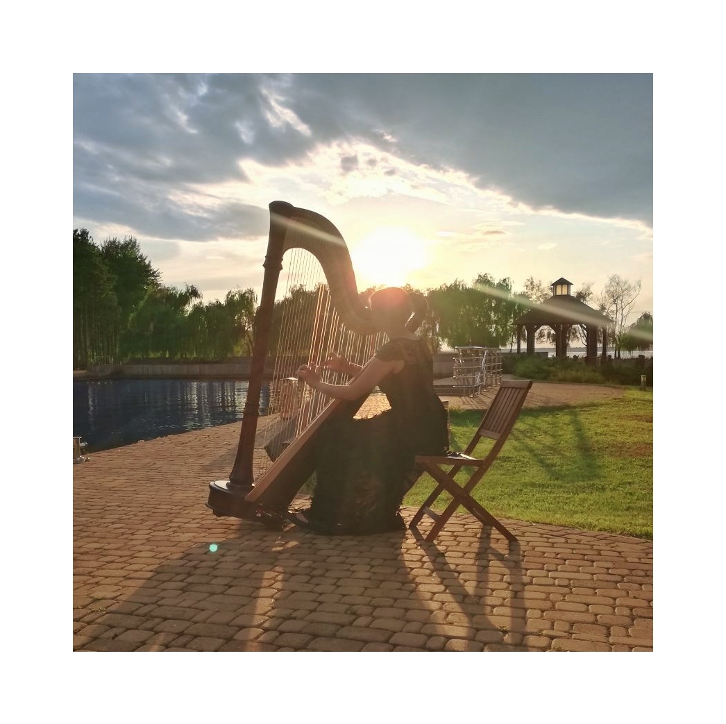 Hochzeitsmusik - PLZ 8561 (Österreich) - Harpist For Your Event in Graz