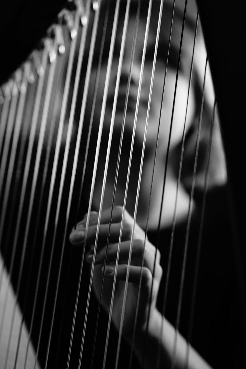 Hochzeitsmusik - PLZ 8561 (Österreich) - Harpist For Your Event in Graz