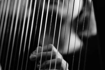 Hochzeitsband: Harpist For Your Event in Graz