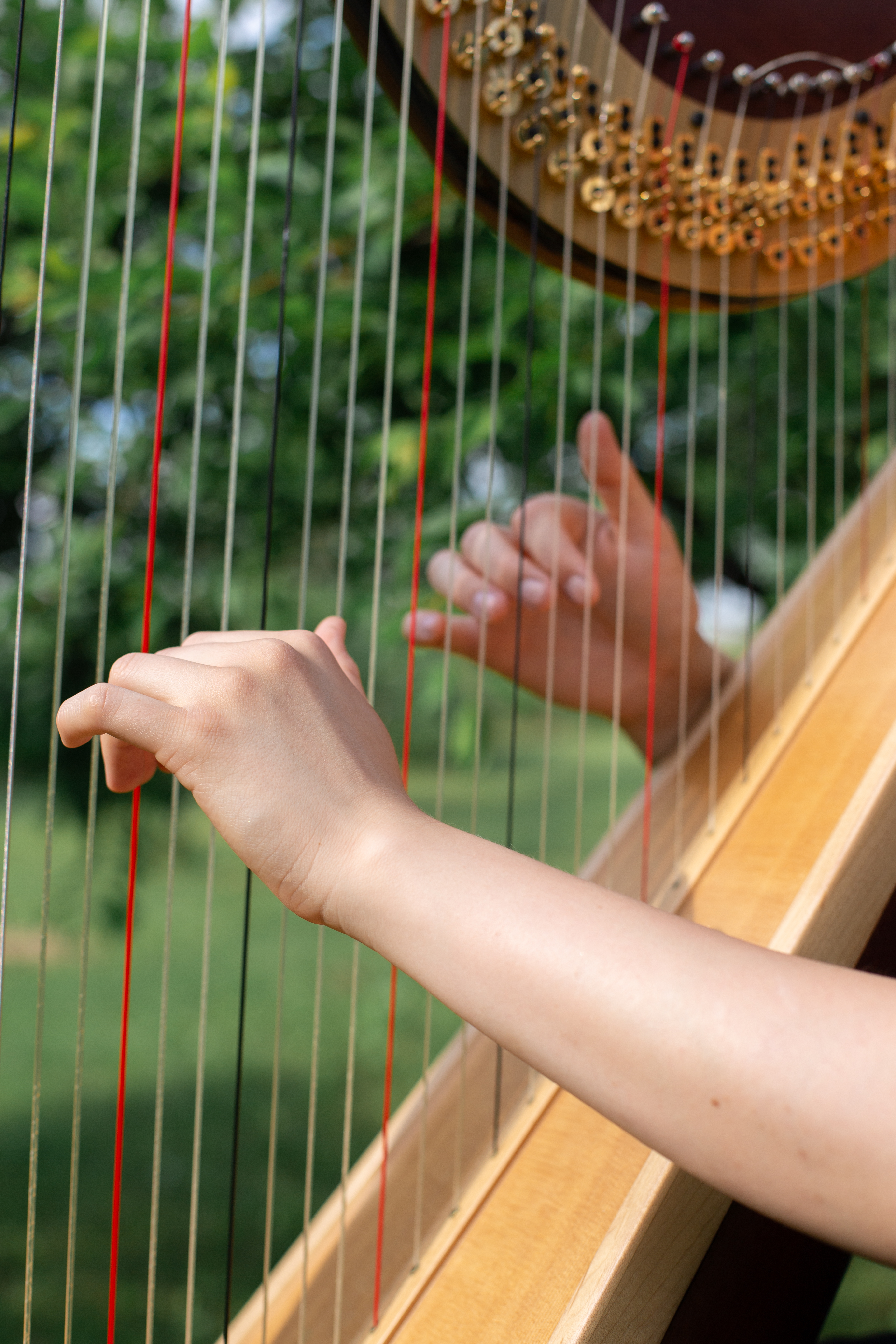 Hochzeitsmusik - PLZ 8561 (Österreich) - Harpist For Your Event in Graz