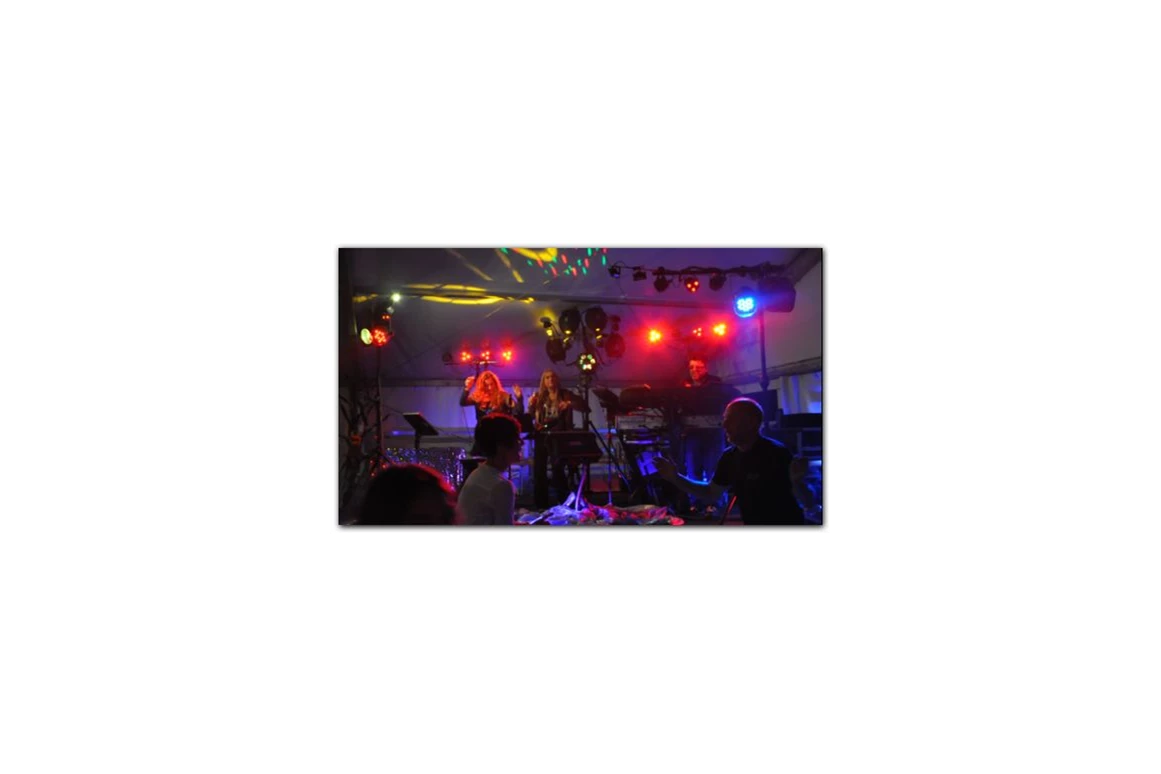 Hochzeitsband: DENNY & BAND, PartyTrio (Kirmes) - DENNY & BAND, PartyDuo/Trio mit DJ