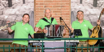 Hochzeitsmusik - Einstudieren von Wunschsongs - Steiermark - Die Berndorfer