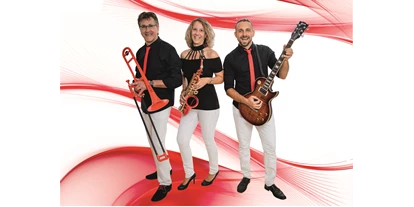 Hochzeitsmusik - Band-Typ: Trio - Wien Hernals - Red Devils