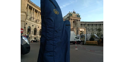 Hochzeitsmusik - Band-Typ: Sonstige - Wien-Stadt - Wiener Hofburg - Harfenistin Petra Mallin