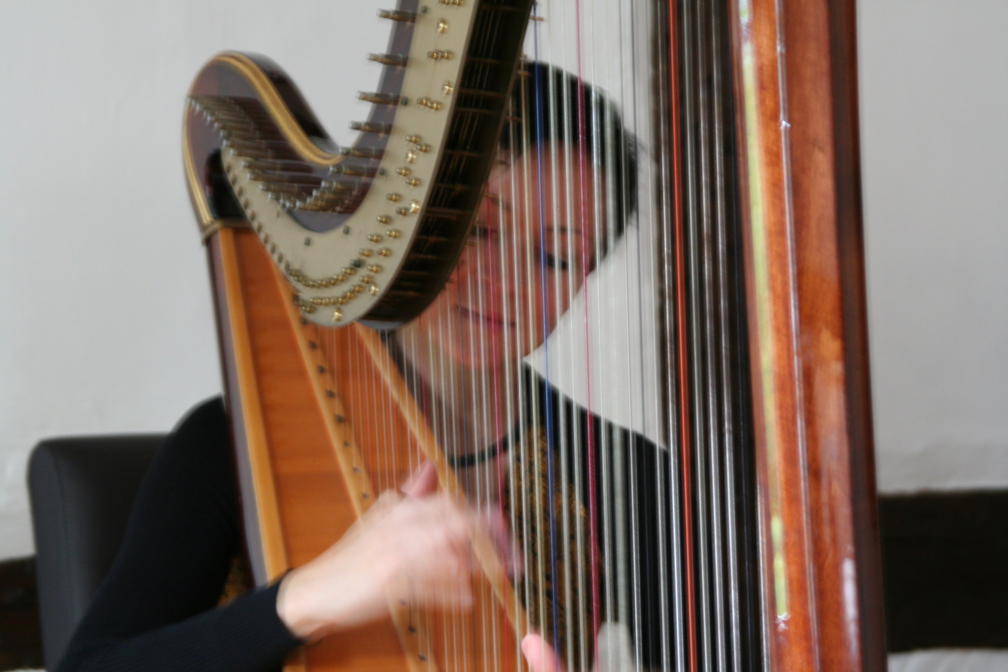Hochzeitsmusik - Band-Typ: Sonstige - Deutschland - Barbara Regnat - Harfe