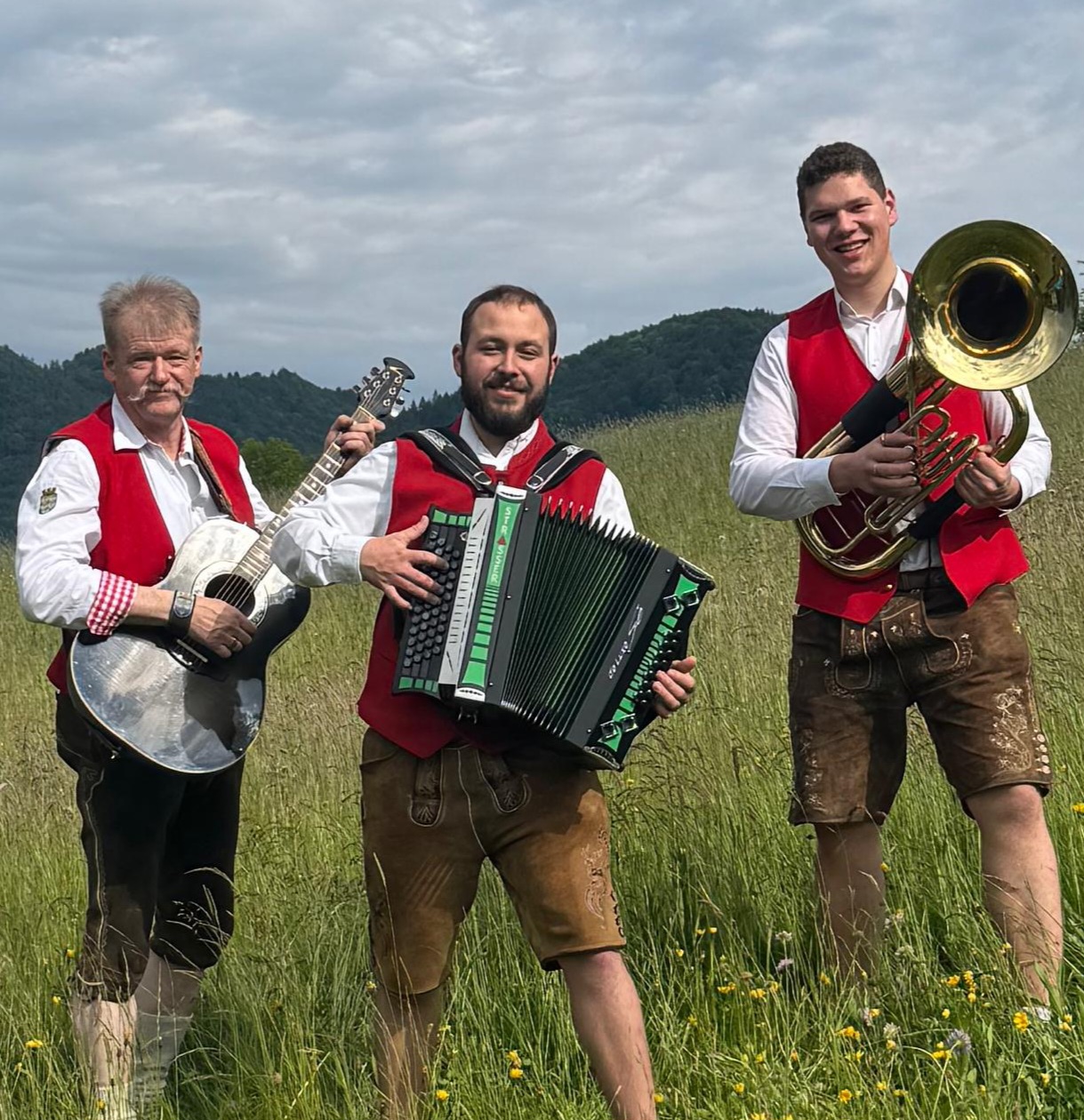 Hochzeitsmusik - PLZ 3950 (Österreich) - Die Feststürmer 