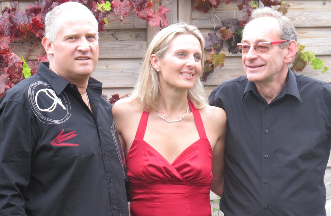 Hochzeitsband: Das Trio - Die Gentlemen - Tanz- und Partyband