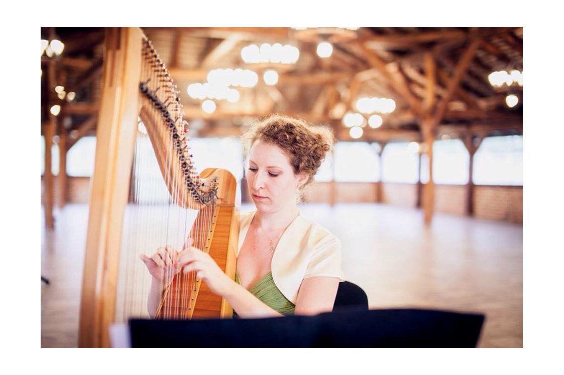 Hochzeitsband: At a wedding - Your Event Harpist - Veronika Villanyi