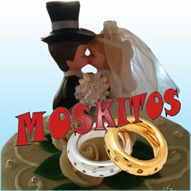 Hochzeitsband: MOSKITOS